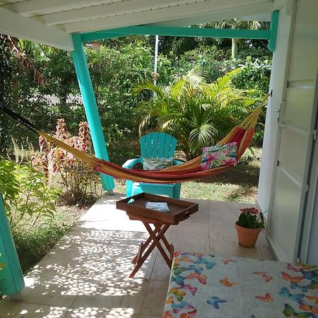 Gite Cajou Dans Jardin Tropical Ventile A Sainte-Anne Exteriör bild