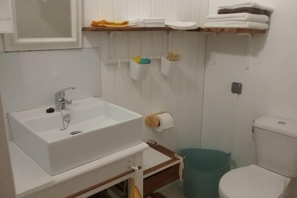 Gite Cajou Dans Jardin Tropical Ventile A Sainte-Anne Exteriör bild