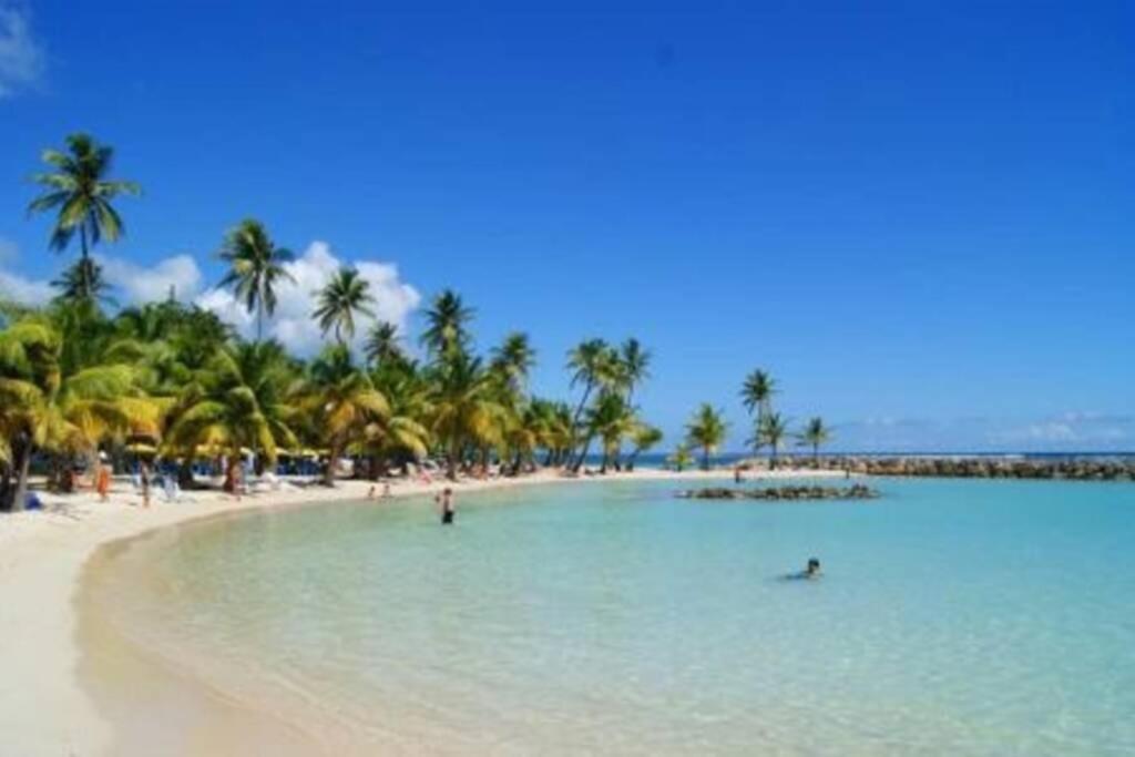 Gite Cajou Dans Jardin Tropical Ventile A Sainte-Anne Exteriör bild