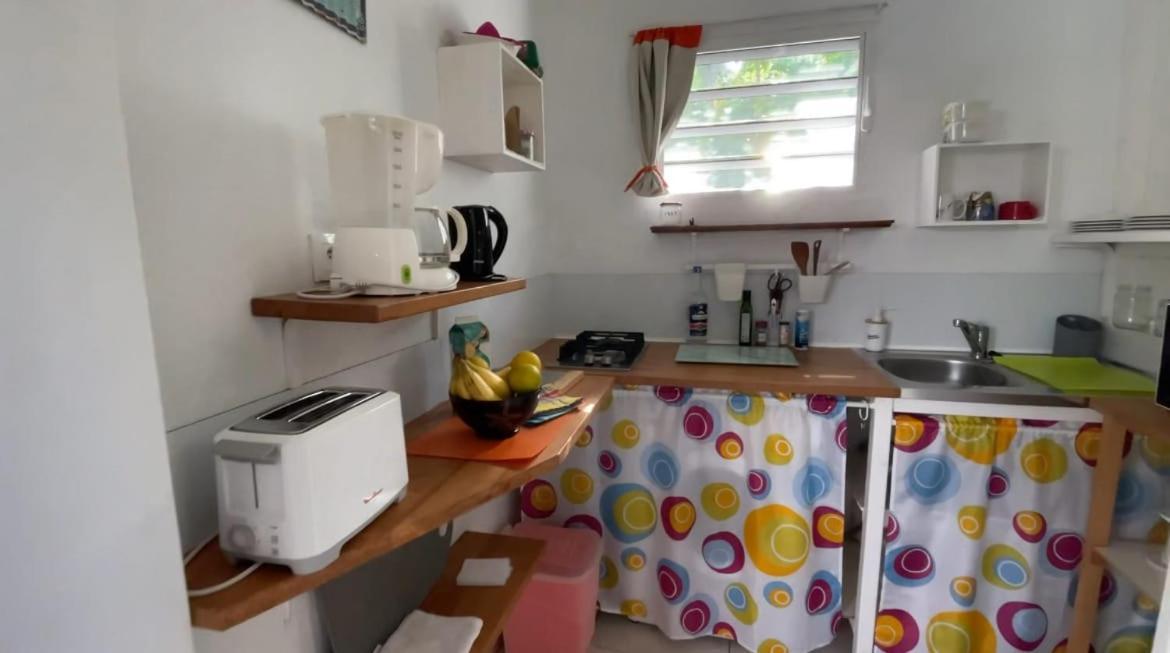 Gite Cajou Dans Jardin Tropical Ventile A Sainte-Anne Exteriör bild