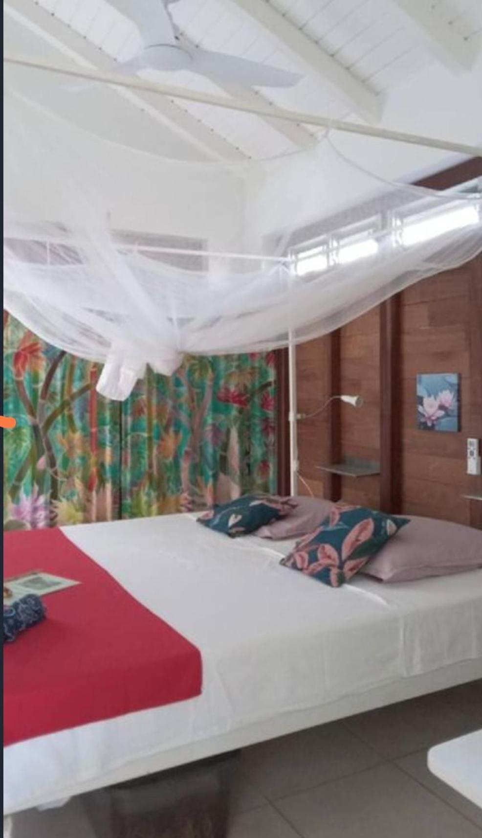 Gite Cajou Dans Jardin Tropical Ventile A Sainte-Anne Exteriör bild