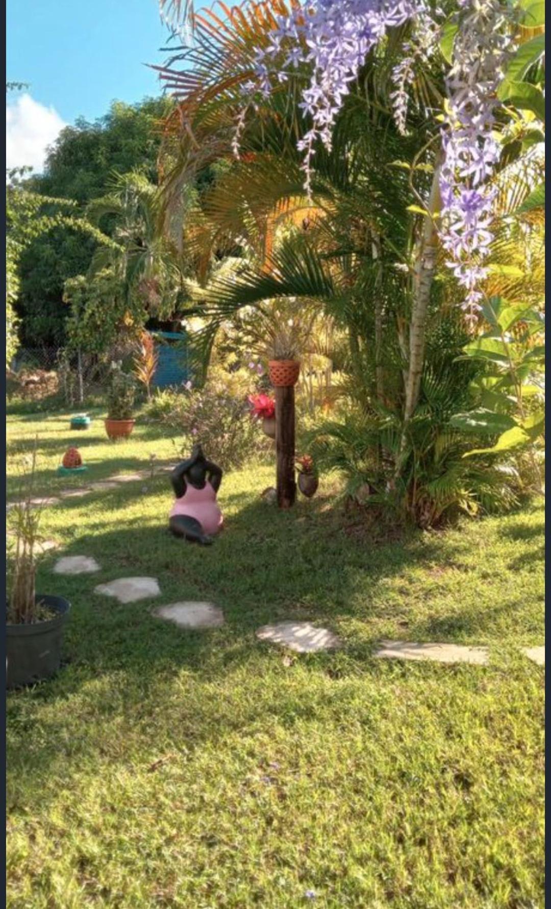 Gite Cajou Dans Jardin Tropical Ventile A Sainte-Anne Exteriör bild