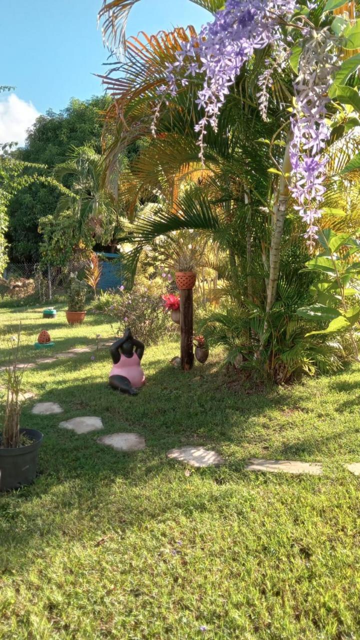Gite Cajou Dans Jardin Tropical Ventile A Sainte-Anne Exteriör bild