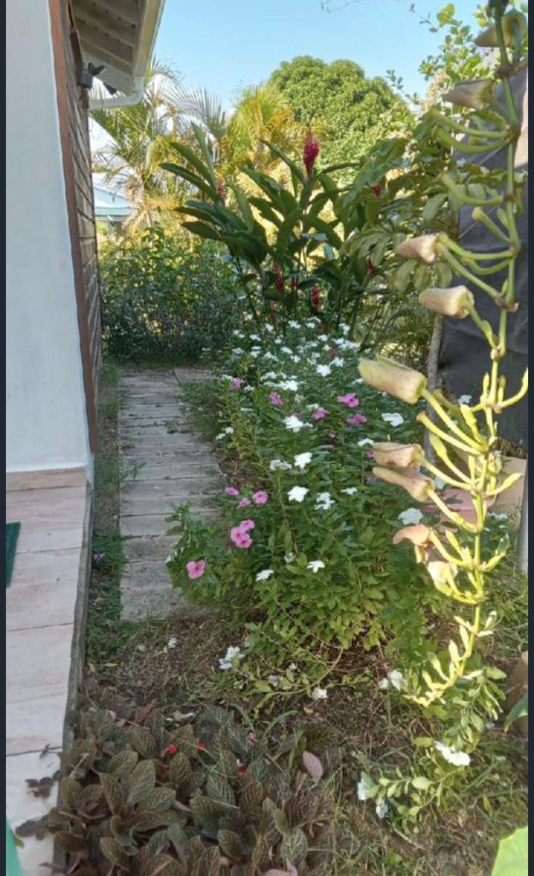 Gite Cajou Dans Jardin Tropical Ventile A Sainte-Anne Exteriör bild
